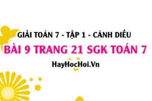 Giải bài 9 trang 21 Toán 7 Tập 1 SGK Cánh Diều